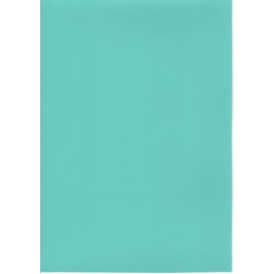 PVC OBLOGA - CARIBIC, ELBE BLUE LINE