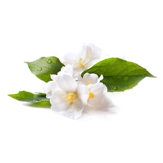 Eterično olje za suhe savne - Jasminov cvet-Savne