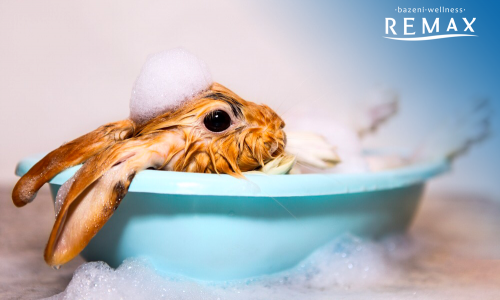 Velikonočno voščilo